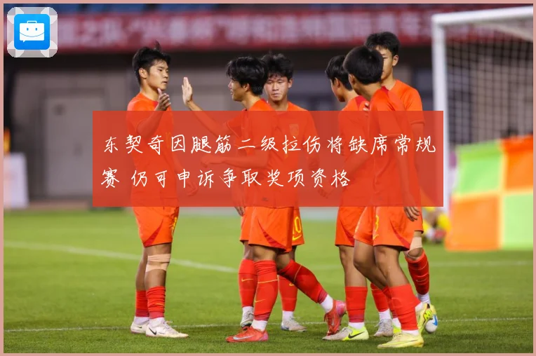 东契奇因腿筋二级拉伤将缺席常规赛 仍可申诉争取奖项资格