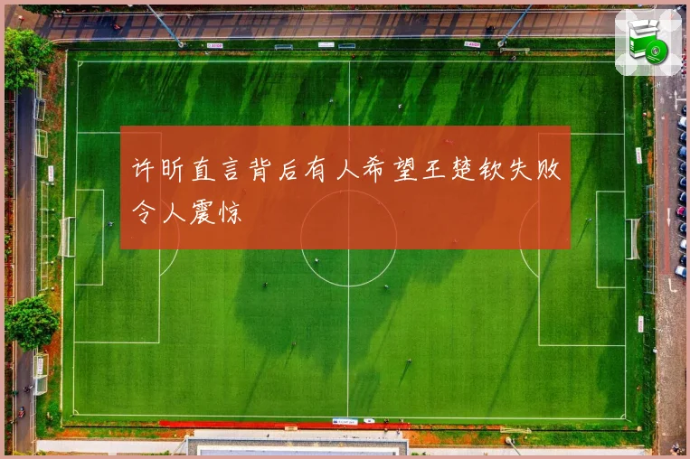 许昕直言背后有人希望王楚钦失败令人震惊