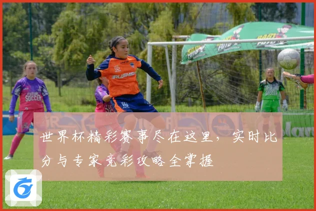世界杯精彩赛事尽在这里，实时比分与专家竞彩攻略全掌握