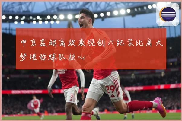 申京轰超高效表现创六纪录比肩大梦堪称球队核心