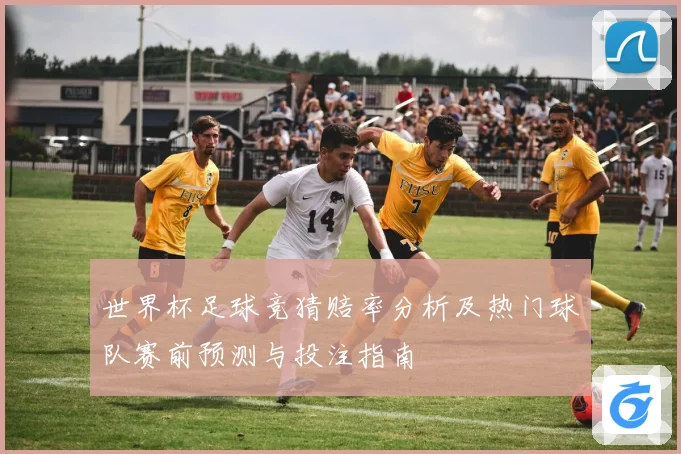 世界杯足球竞猜赔率分析及热门球队赛前预测与投注指南
