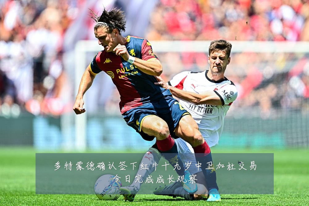 多特蒙德确认签下红牛十九岁中卫加杜交易今日完成成长观察